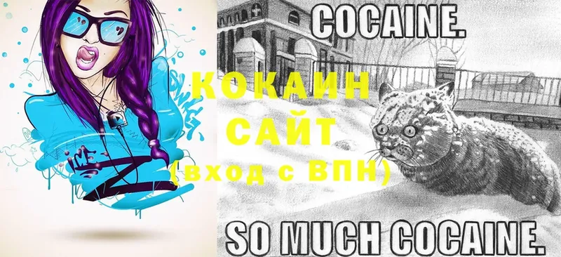 сайты даркнета наркотические препараты  Печора  COCAIN 99%  наркотики 